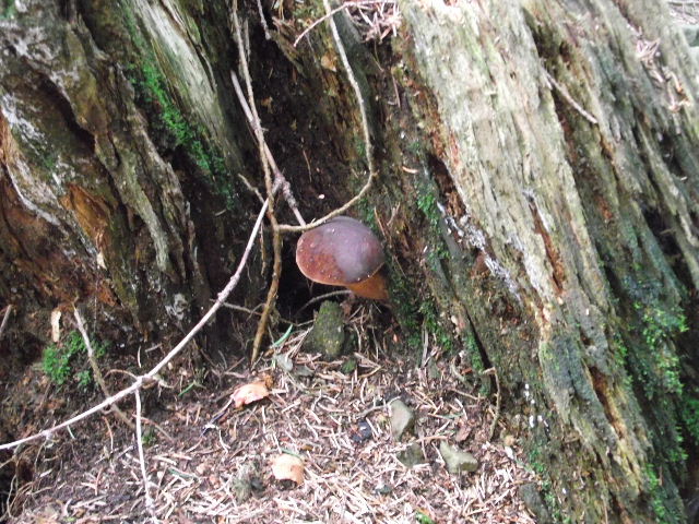 dscf0575